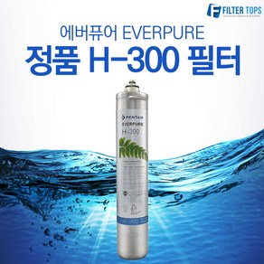 에버퓨어 EVERPURE 정품 H-300 필터, 에버퓨어 정품필터 03_H-300, 1개