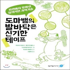 새책-스테이책터 [도마뱀의 발바닥은 신기한 테이프]자연에서 찾아낸 창의적인 과학기술 헬로 사이언스-청소년 수학과학 출간, 도마뱀의 발바닥은 신기한 테이프]자연에서 찾아낸 창의적