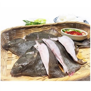 남해안 삼천포 자연산 활 손질 도다리 1kg(손질 후 약 800g) / 도다리 쑥국세트(쑥 100g), 1세트, 1kg(손질도다리만)