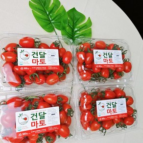 스테비아 대추방울토마토, 1박스, 2kg(500g x 4팩)