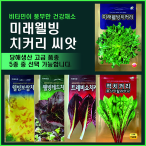 치커리 씨앗 (chicoy seed) 모음- 청치커리 로사이탈리아나 적치커리 트레비쇼 치커리 레드치커리 보쌈치커리, 4.웰빙레드치커리1500립, 1개