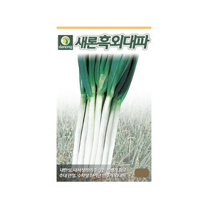 (DN) 새론흑외대파 씨앗(400g), 1개