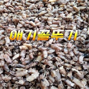 국내산 꼴뚜기 호래기 애기꼴뚜기 건꼴뚜기 1봉지 200G, 1개