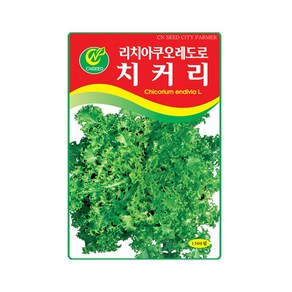 모두다 채소씨앗 치커리씨앗(1500립), 18_백경근대(5g), 1개