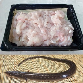 아나고회 자연산 붕장어 세꼬시회 1kg(활어기준), 1세트