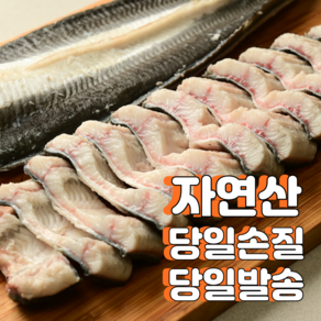 산지직송 통영장어 자연산 바다장어특대 최상품 손질 장어 활력 바다장어 비법소스포함, 1개, 3kg(특대 3-9미) 비법소스6개