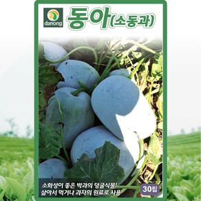 다농 동아(소동과)씨앗 30립, 1개