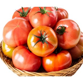 [녹음상회]못난이 완숙 찰토마토 5kg, 1개, 못난이토마토 5kg(크기랜덤)