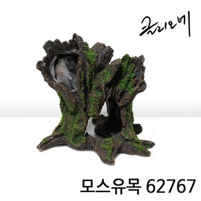 클리오네 모스유목 62767 (13x11x12cm), 1개