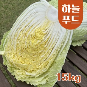 수입산 배추 식자재 [원산지:중국], 1박스, 15kg