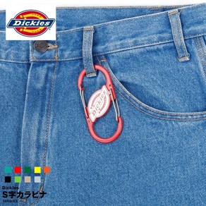 Dickies 디키즈 S자 카라비나 키 체인 10COLOR, 상세페이지참조, 39 모드