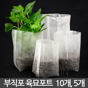 부직포 육묘 모종 포트 - 화분 씨앗 초화 새싹 묘목 파종 폿트 삽목 가방 분갈이 재배분 상자 박스 트레이 베란다 텃밭, 10개