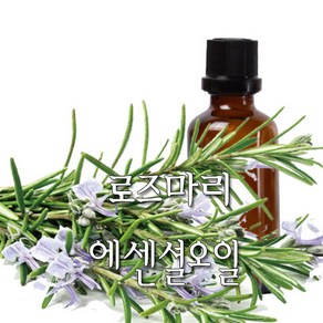 허니솝 로즈마리 아로마 에센셜오일, 로즈마리 에센셜오일 30ml, 1개