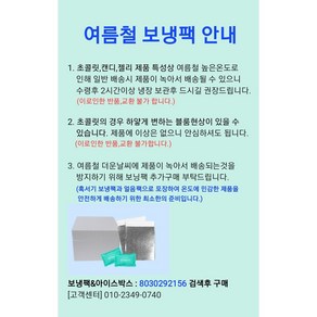 [HK마켓] 여름철 보냉팩+얼음팩 및 아이스박스 구매, 아이스박스+보냉팩+아이스팩, 1개