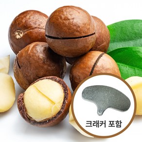 프리미엄 통마카다미아 벌크 10kg, 1개, 500g