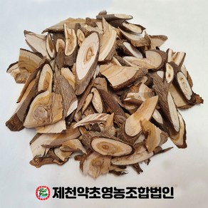 국산 노나무 개오동나무 500g 제천약초영농조합 제천약초시장, 1개