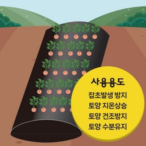 유공 멀칭비닐 주말농장 텃밭용 95cm X 20m, 멀칭비닐 95CM20M, 1개