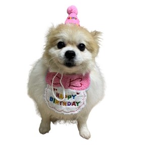 강아지 고양이 생일축하 스카프+꼬깔모자 세트 생일파티세트, 핑크, 1개