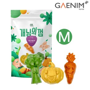 개님의상점 개님의껌 가든레인져M 강아지 치석제거 덴탈껌 4개입 껌, 단일속성, 25g, 1개