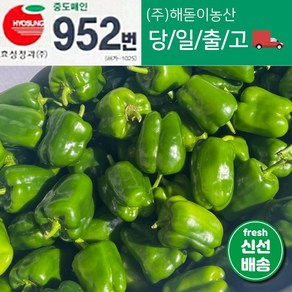 <해돋이농산> 국내산 못난이피망 초록피망 청피망 1kg 3kg 5kg 10kg(청파프리카)