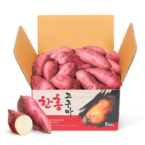 꿀고구마 대사이즈 5kg/10kg 베니하루까 모양좋은 산지직송, 1박스, 큰대 5kg (450g이상)