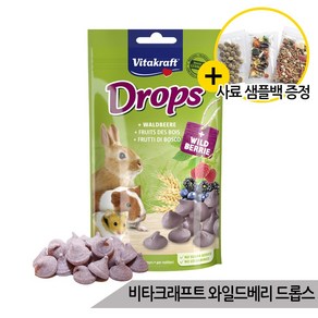 비타크래프트 와일드베리 드롭스 햄스터 토끼간식 75g, 1개