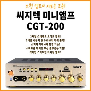 씨지텍 CGT-200 미니앰프 200W