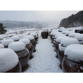 지리산 함양 용추골 시골 된장 500g 2년이상 숙성