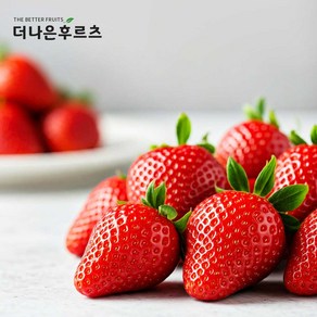 특품 국내산 고당도 설향 딸기 생과 1kg 2팩, 1개