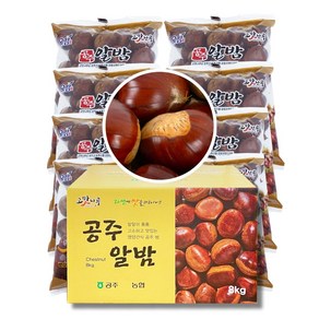 24년 공주햇밤 농협 프리미엄 옥광밤 2Kg 4Kg 8Kg 세척밤