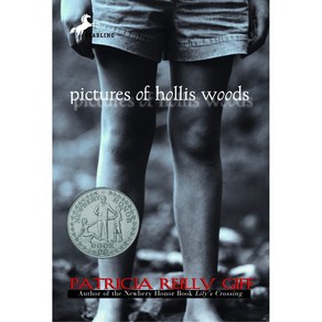 뉴베리 수상작 Pictues of Hollis Woods 영어원서, 단품