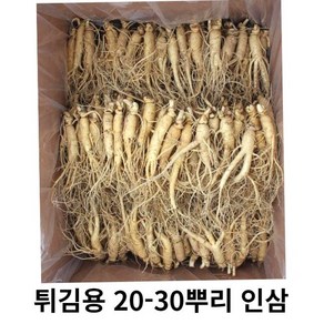 인삼 수삼 5 6년근 인삼 튀김용인삼 삼계탕인삼 500g 인삼 25-30뿌리, 세척(0)500g(20-30뿌리), 1개