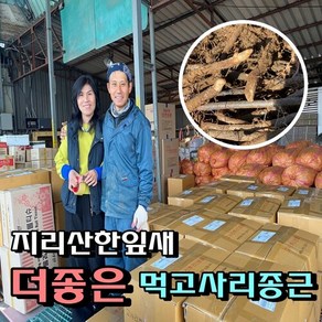 고사리모종 (묘목) 10kg, 1개