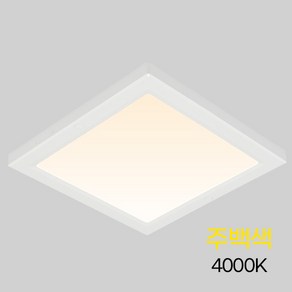 비츠온 사각 LED 직부등 엣지 10인치 20W 주백