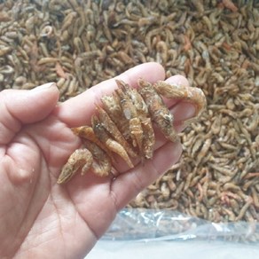 웰빙미래 국산 보리새우 흑새우 먹새우 500g 육수용 보리새우 천연조미료 다시용 육수용, 1개