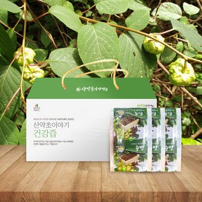 산약초이야기 자연산 개다래 충영 즙 진액 엑기스 120ml 30포