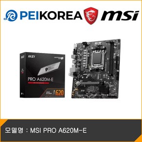 MSI PRO A620M-E