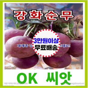 [OK씨앗] [강화순무] 순무씨앗(오케이씨앗), 1개