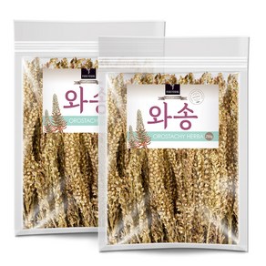 퓨어영 국산 건조 와송 250g, 2개