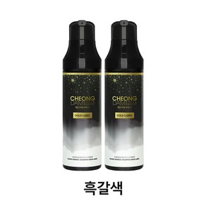 청담스타일 포레스트 블랙체인지 골드라벨 염색샴푸 흑갈색, 200ml, 2개