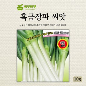 아시아종묘 흑금장파 외대파 씨앗 10g, 1개