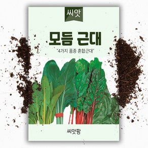 모듬 근대씨앗 (150립), 1개