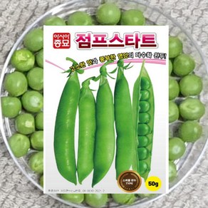 완두콩씨앗 점프스타트 50g 1봉 스파클완두콩 아시아, 1개