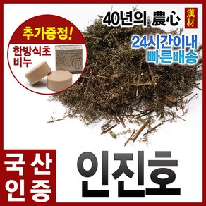 자애인 국산 인진호 사철쑥 인진쑥 한방 약차 쑥환, 300g, 1개