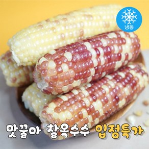 맛꿀마 쫄깃탱글 냉동 찰옥수수 삶은옥수수 홍찰