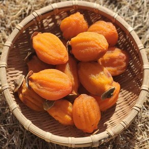 [함안곶감] 산지직송 고당도 햇 곶감, 1개, 500g