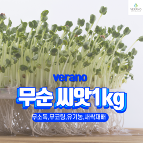 무순 씨앗 1kg 새싹 채소 종자 무농약 무코팅 유기농 수경 토경재배, 1개