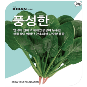 만추대성 잎넓은 풍성한시금치 씨앗 더기반 500g, 1개