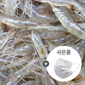 국내산 민물새우 1kg/아빠가 조업한 자연산(탕 튀김 깡 육수 김장용)