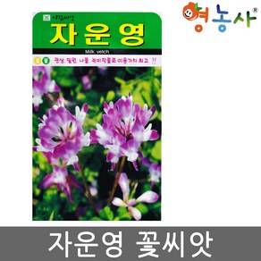 자운영 씨앗 1000립 꽃씨 야생화 꽃씨앗 녹비 작물, 1개